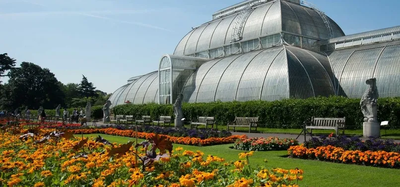 Bilim insanlarından büyük keşif: 2023'te yeni 74 bitki ve 15 mantar türü bulundu