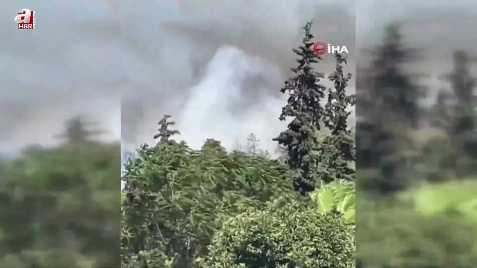 Bodrum’da orman yangını başladı