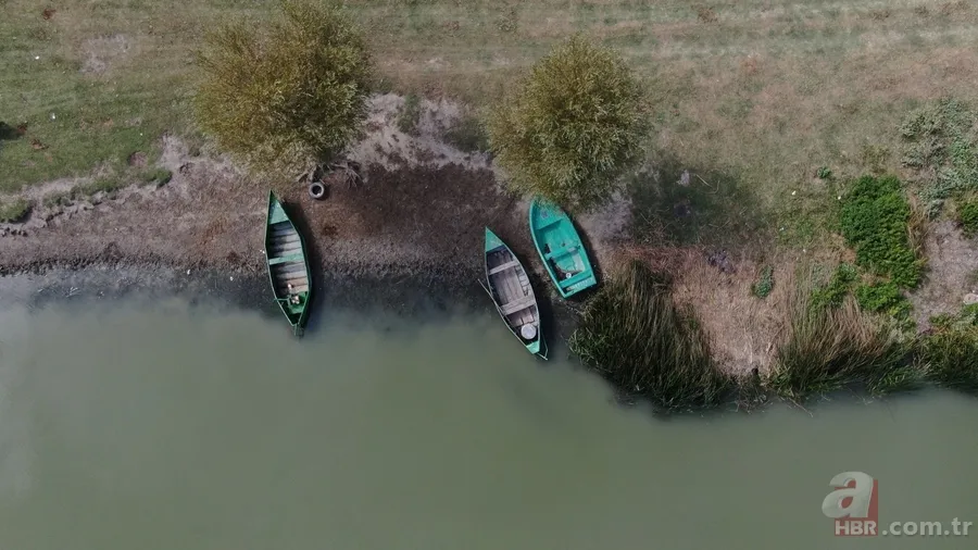 Uluabat Gölü yok olma tehlikesiyle karşı karşıya! 3
