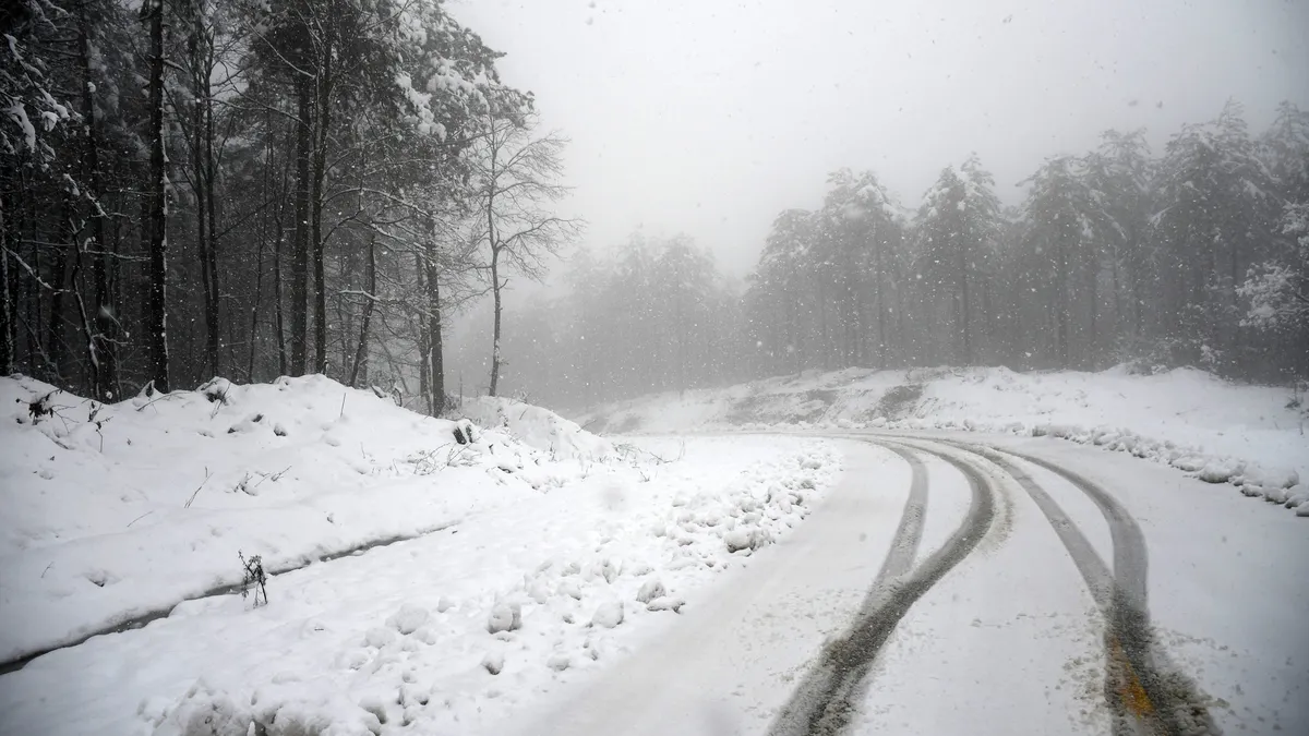 Düzce'nin yüksek kesimleri beyaz örtüyle kaplandı