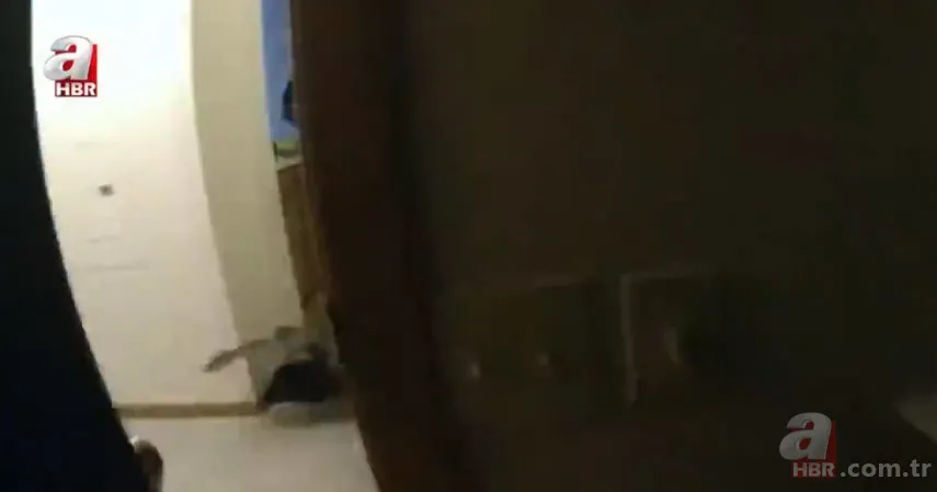 Eve giren firari vahşi hindi ortalığı birbirine kattı! ABD polisinden "özel hindi operasyonu" 11