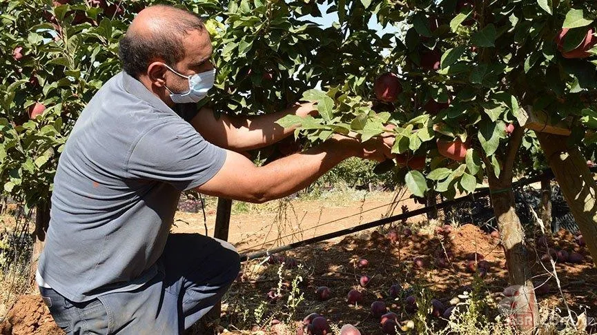 Bahçede görüp etkilendi kariyerini bıraktı! Şimdi hayatı değişti! 10 yılda... 8