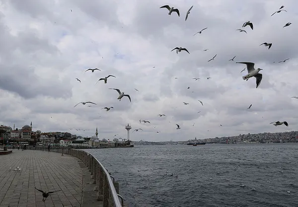 İçişleri Bakanlığından yeni koronavirüs genelgesi! 81 il valiliğine gönderildi