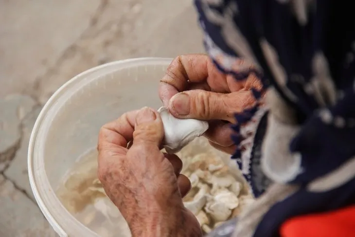 Tunceli’de kendiliğinden yetişen ’Kenger sakızı’ kilosu 500 liradan satılıyor