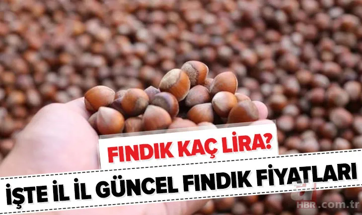 Fındık fiyatları son dakika: 7 Aralık Ordu, Giresun, Samsun, Trabzon güncel fındık alış-satış fiyatları ne kadar? 1