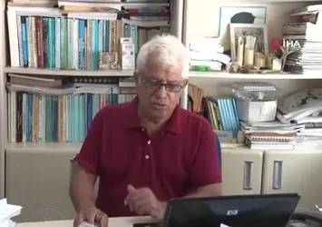 Köpek balıklarına yapılan "gösteri işkencesine" uzman uyarısı: Ekosistemi bozuyor