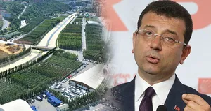 Ağaç A.Ş. üzerinden kirli rüşvet ağı ifşa oldu!