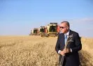 Türkiye tarımsal hasılada Avrupa’da lider