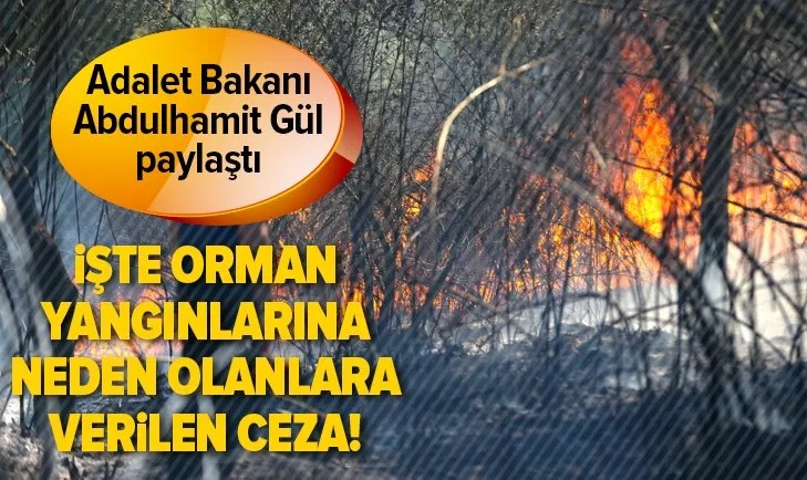 Son dakika: Adalet Bakanı Abdulhamit Gül, orman yangınlarına neden olanlara verilen cezaları paylaştı