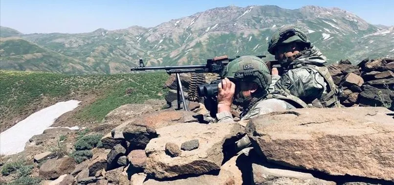 Son dakika: Bitlis'te 4 terörist öldürüldü