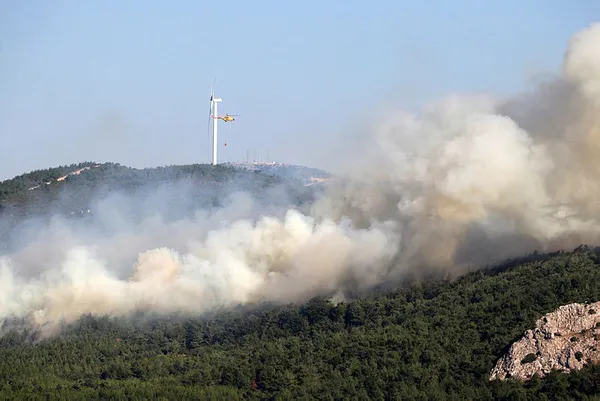 Manisa Soma'daki orman yangını kontrol altına alındı - 1