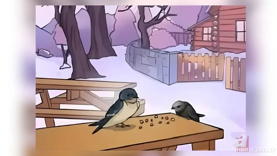 Zeka testi: Bu görseldeki gizli hata nerede? Sadece Sherlock Holmes gibi düşünenler buluyor 4