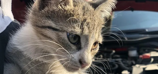 'Kontağı çevirmeden kaputa vurun' uyarısı