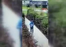Dehşet dolu anlar! Kediyi yerden yere vurdu