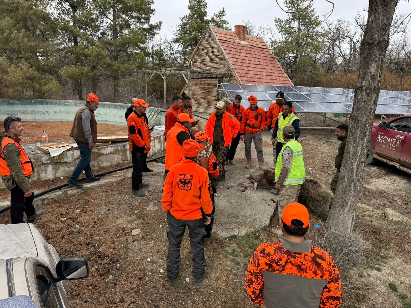 Konya'da yaban domuzlarına sürek avı düzenlendi