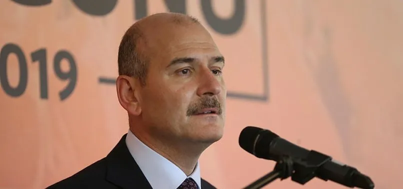 Bakan Soylu'dan Rabia Naz Vatan açıklaması