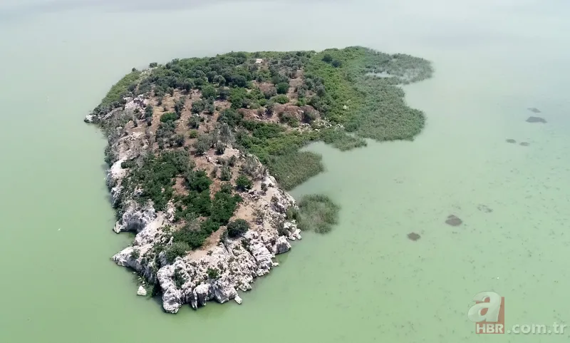 Cristiano Ronaldo’nun koronavirüs önlemi özendirdi! Bursa’daki adaya teklif yağdı 2