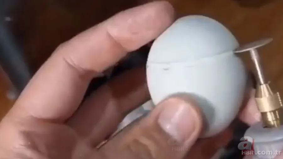 İşte civcivin yumurta içindeki gelişimi 🐣 İğne ile enjekte etti gün gün görüntüledi 🥚 4