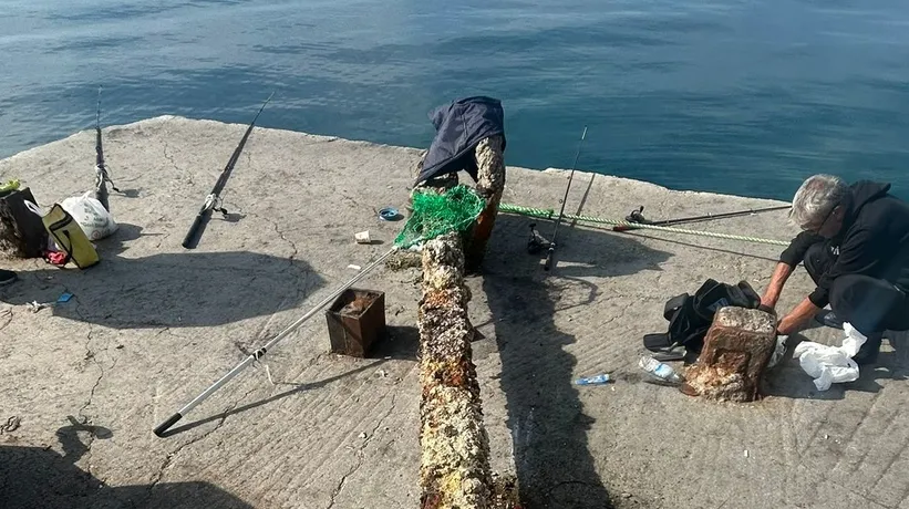 Balıkçının ağına takıldı! 3 ton ağırlığında…