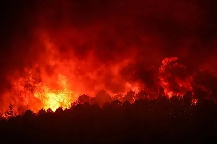 Türkiye tarihinin en büyük filosu sahada! Orman yangınlarıyla mücadelede devlet seferber