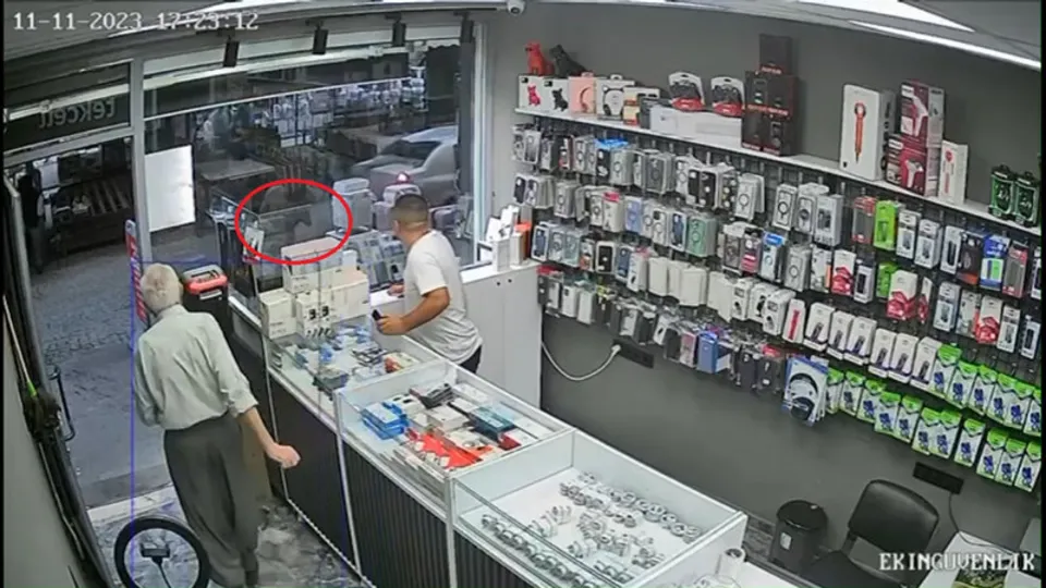 Mersin’de şoke eden olay! Otomobilin üzerine keçi düştü