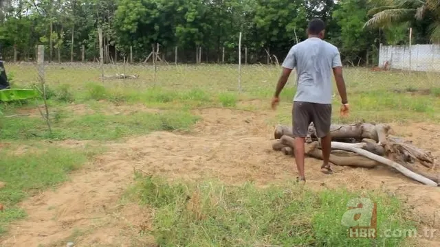 Öyle bir şey yaptı ki! Herkes hayran kaldı... 2