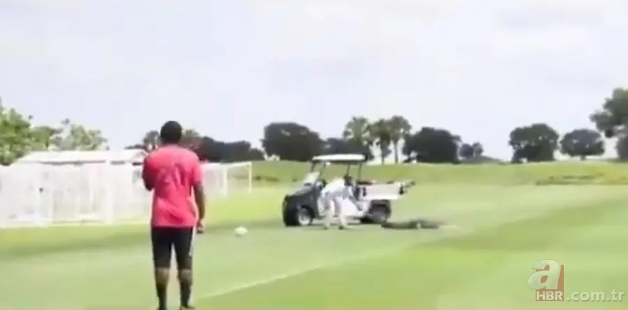 Sürücülerin kabusu oldu! Geceleri ortaya çıkıp yola fırlıyor 19