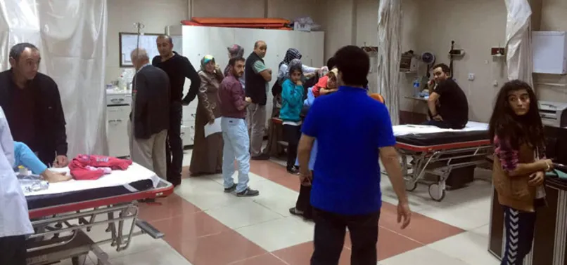 Aşkale'de 553 kişi hastanelik oldu