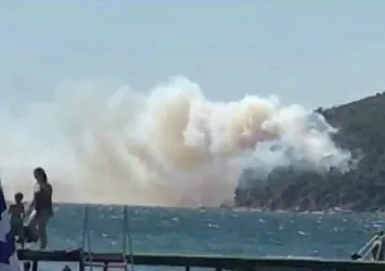 Burgazada'da ormanlık alanda yangın çıktı