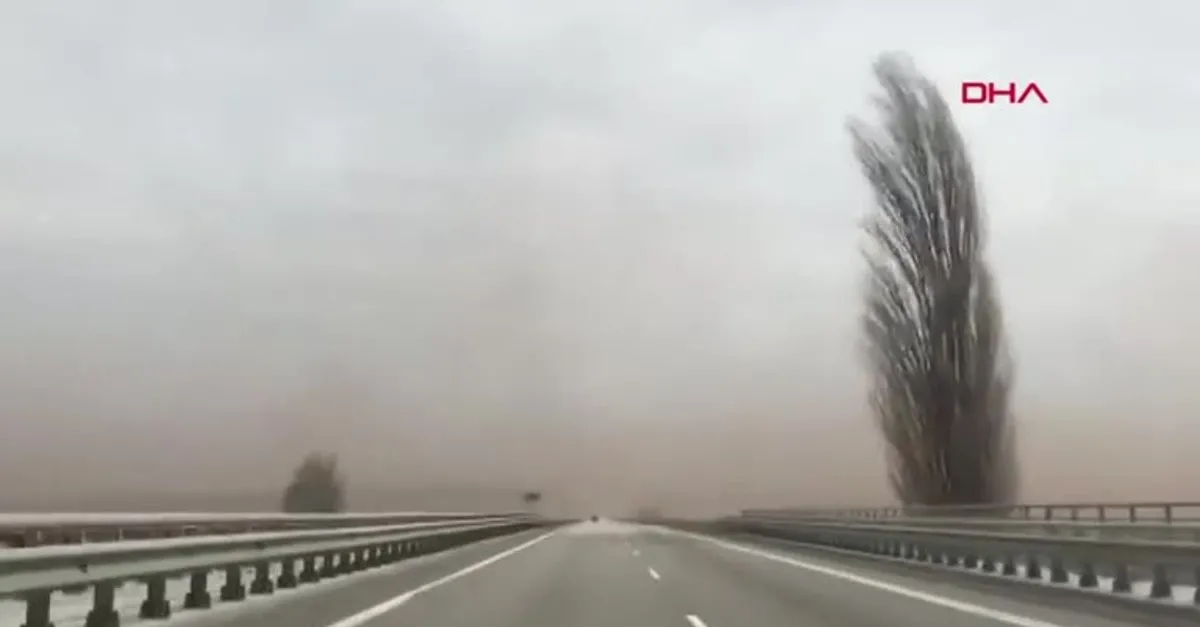 Çernobil yangını Ukrayna'da hava kalitesini bozdu |Video