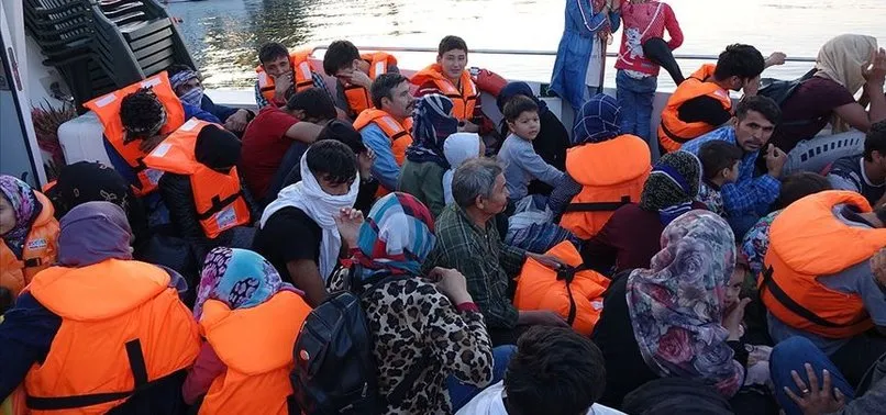 Çanakkale'de ağaçlık alanda saklanan 98 düzensiz göçmen yakalandı