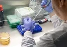 ABDdeki koronavirüs aşısı son aşamaya hazır