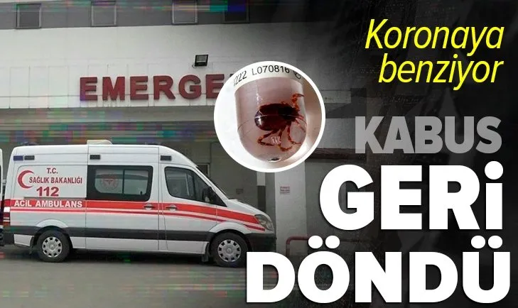 Koronavirüse benziyor! Kırım Kongo Kanamalı Ateşi kabusu geri döndü