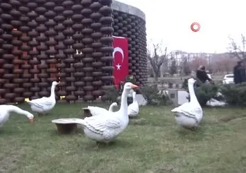 Kars Peynir Müzesi yoğun ilgi görüyor