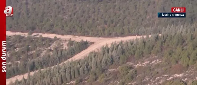 Türkiye Yüzyılı’nda tarım, ormancılık ve hayvancılık! A Haber ekipleri sahada