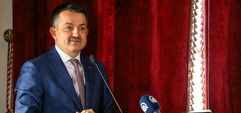 Bakan Pakdemirli: Pendik'teki orman yangınında terör bağlantısı tespit ettik
