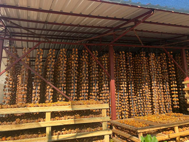Adana’da eşinin çamaşır ipinde hurma kurutan girişimci tesis kuracak - 4