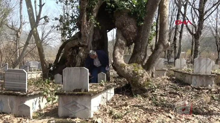 Üzerinde ’Allah’ yazan 350 yaşındaki çınar! Koruma altına alındı