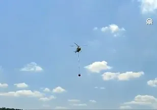 Bilecik'te arazide çıkan yangın söndürüldü