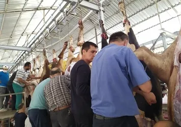 CHP'li belediyeler bayramı halka zehir etti! İstanbul'da kurban kesim rezaleti kamerada! Vatandaş isyan etti