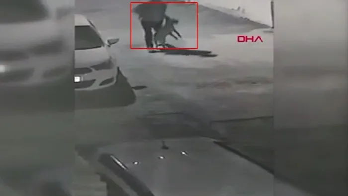 Köpeğin boğazını sıkıp işkence yaptı! Pendik'deki o anlar kamerada - 2