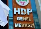 HDPyi kapatma davasında dikkat çeken AİHM detayı!