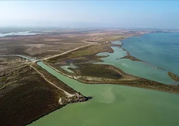 Türkiye'nin kuş cenneti: Göksu Deltası