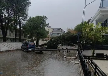 Balıkesir'de yağmur etkili oldu