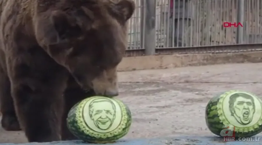 Rusya'da şaşırtan kehanet! ABD'de başkanlık seçimini kim kazanacak? Donald Trump mı? Joe Biden mı? Bakın sonuç ne çıktı? 6