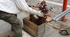 Vatandaş kabusu yaşadı! Binlercesi aynı anda...