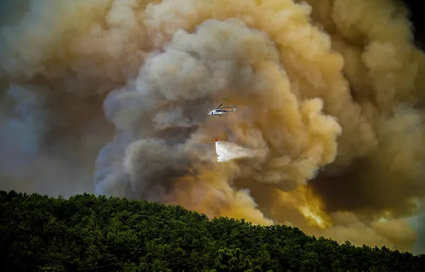 Mersin’de yangın çıkarmaya çalışan 2 şüpheliden biri tutuklandı