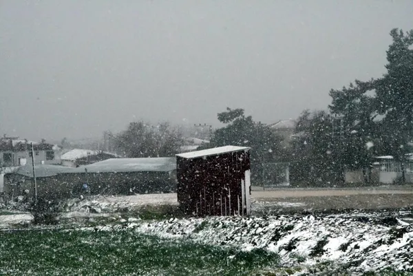 İstanbul'da kar yağışı! Meteoroloji uyarmıştı | Hangi illere kar yağacak? İşte 5 günlük hava durumu - 8