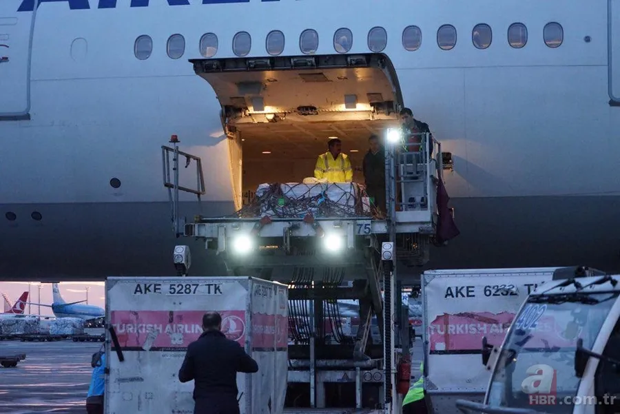 'Çingene Kızı' mozaiği Türkiye'ye getirildi 2