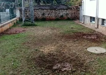 Ağaçları kesip kezzap döktüler iddiası